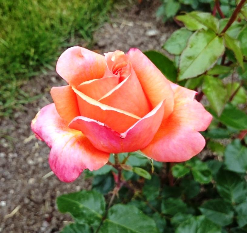 2015-06-21 11.51.06